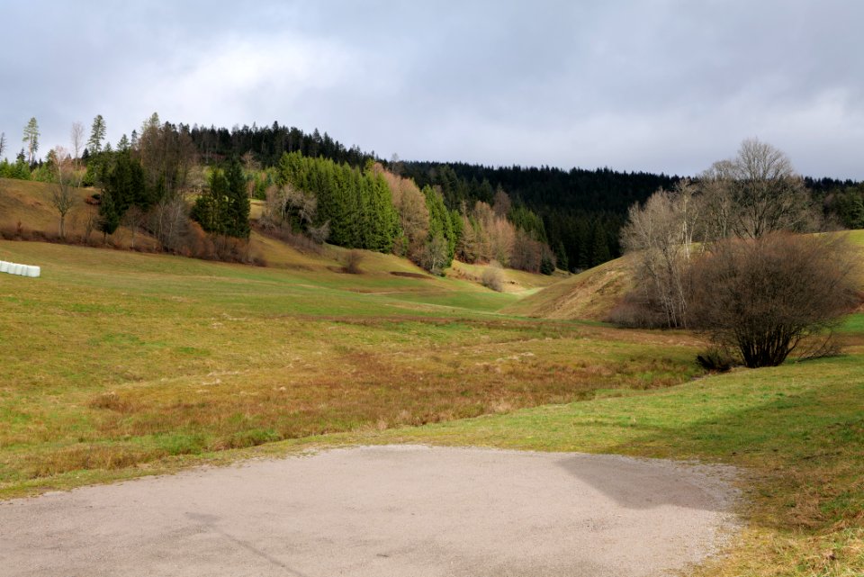 Obertal Baiersbronn 2020-03-11 04