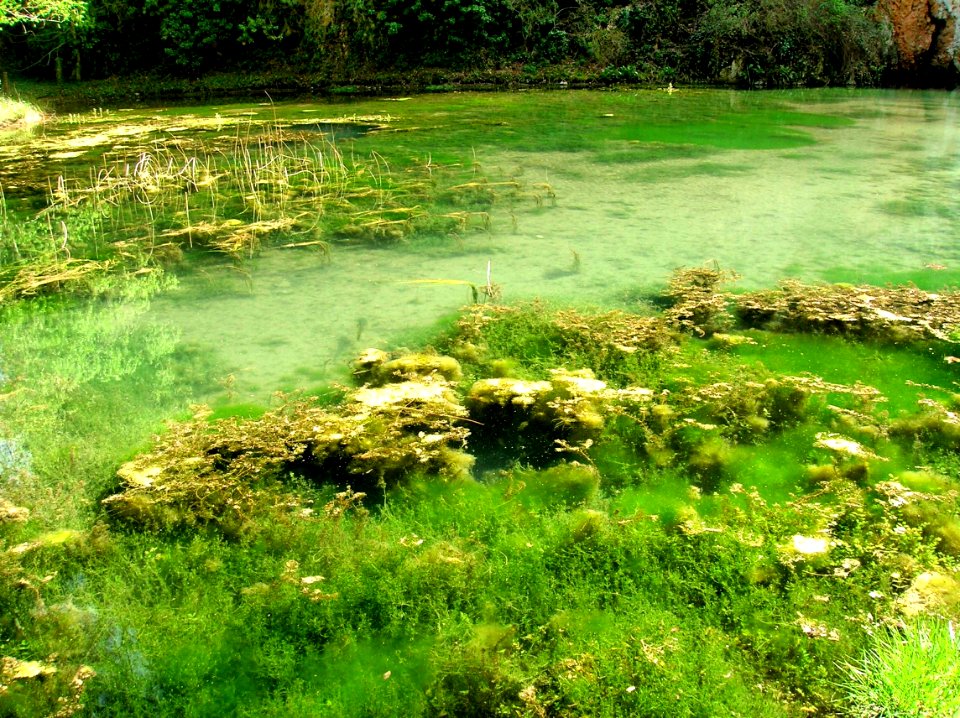 Nuevalos - Monasterio de Piedra 13
