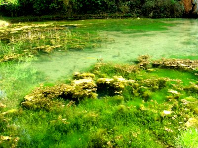 Nuevalos - Monasterio de Piedra 13