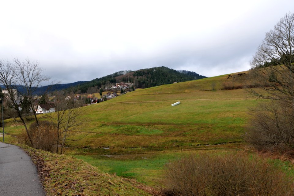 Obertal Baiersbronn 2020-03-11 06