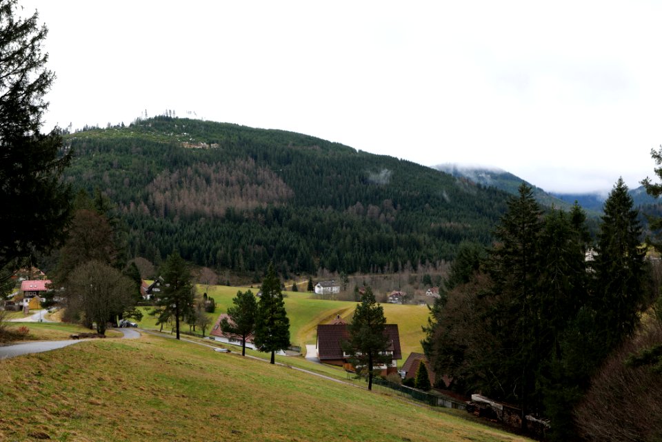 Obertal Baiersbronn 2020-03-11 31