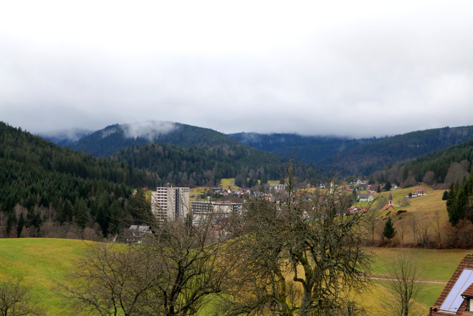 Obertal Baiersbronn 2020-03-11 20
