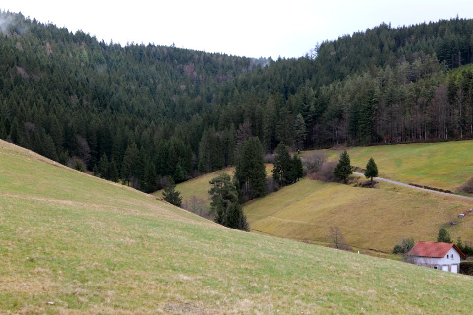 Obertal Baiersbronn 2020-03-11 16