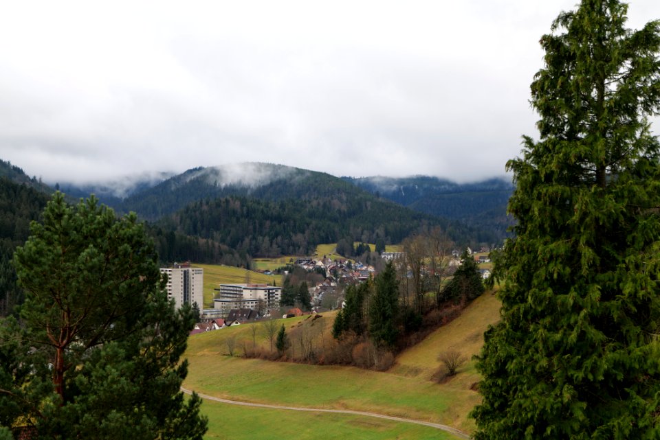 Obertal Baiersbronn 2020-03-11 28