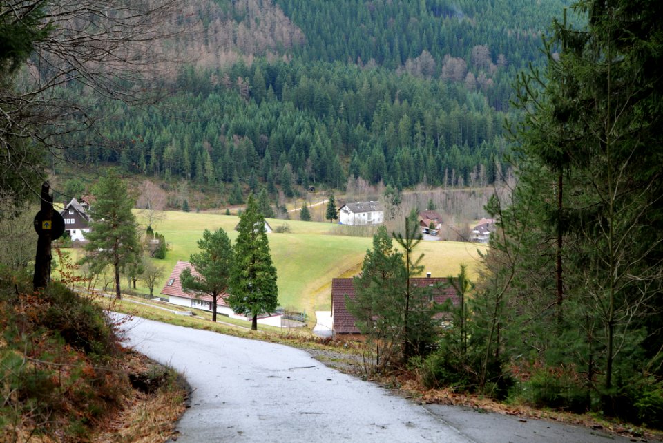 Obertal Baiersbronn 2020-03-11 32