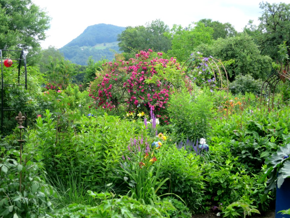 Nußdorf am Inn Garten 4