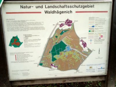 NSG Waldhägenich, Infotafel