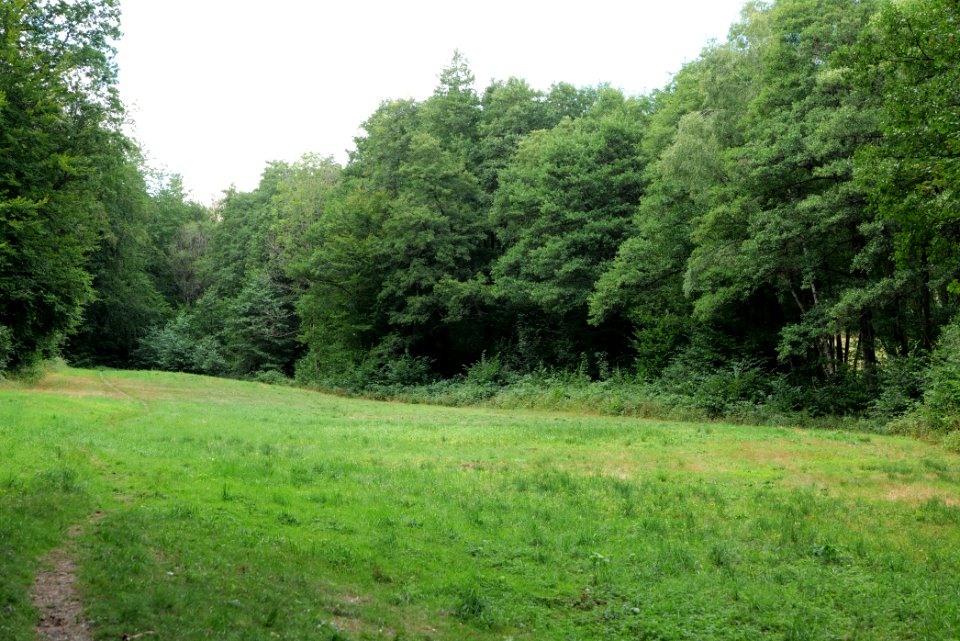 NSG Reichenbachtal 2020-08-18 42