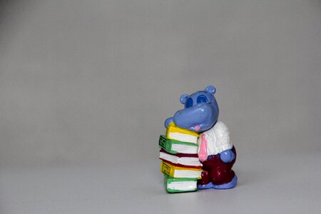 Happy hippo books bookworm photo