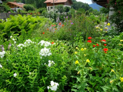 Nußdorf am Inn Garten 15