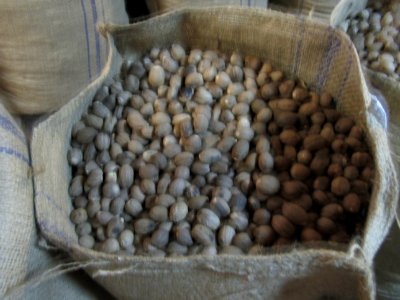 NutmegsGrenada7