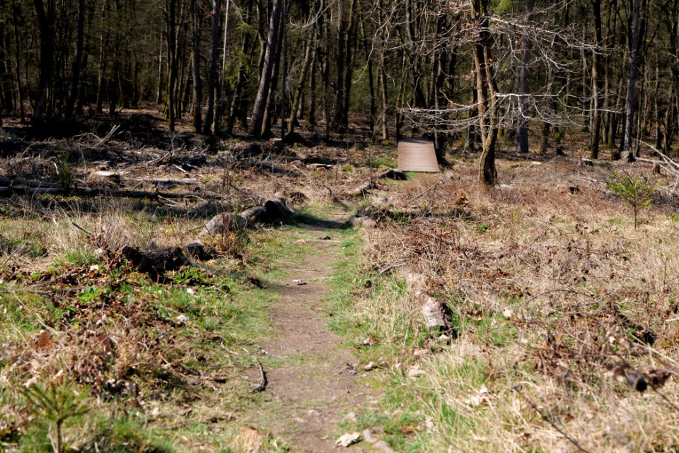 Ockstädter Kleinkastell 2021-04-02 09