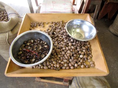 NutmegsGrenada8