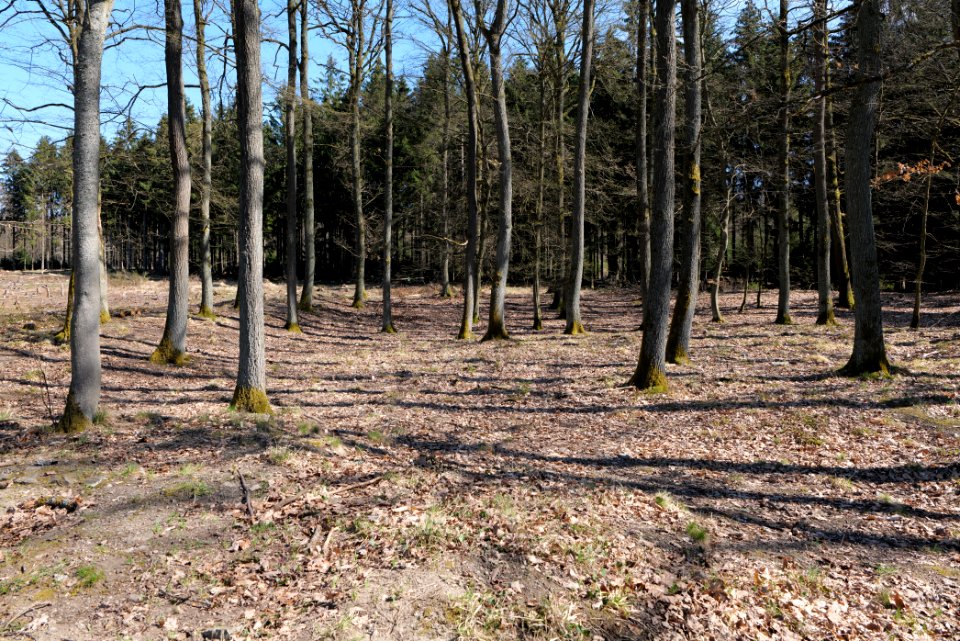Ockstädter Kleinkastell 2021-04-02 05