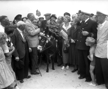 Nutbeij 65 jaar met ezel aan Scheveningse strand, Bestanddeelnr 904-1552