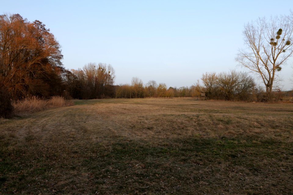 Nuthe-Nieplitz-Niederung 2021-02-24 146