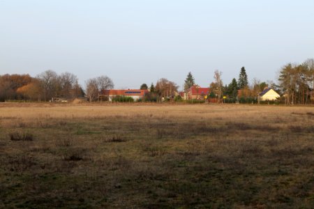 Nuthe-Nieplitz-Niederung 2021-02-24 141