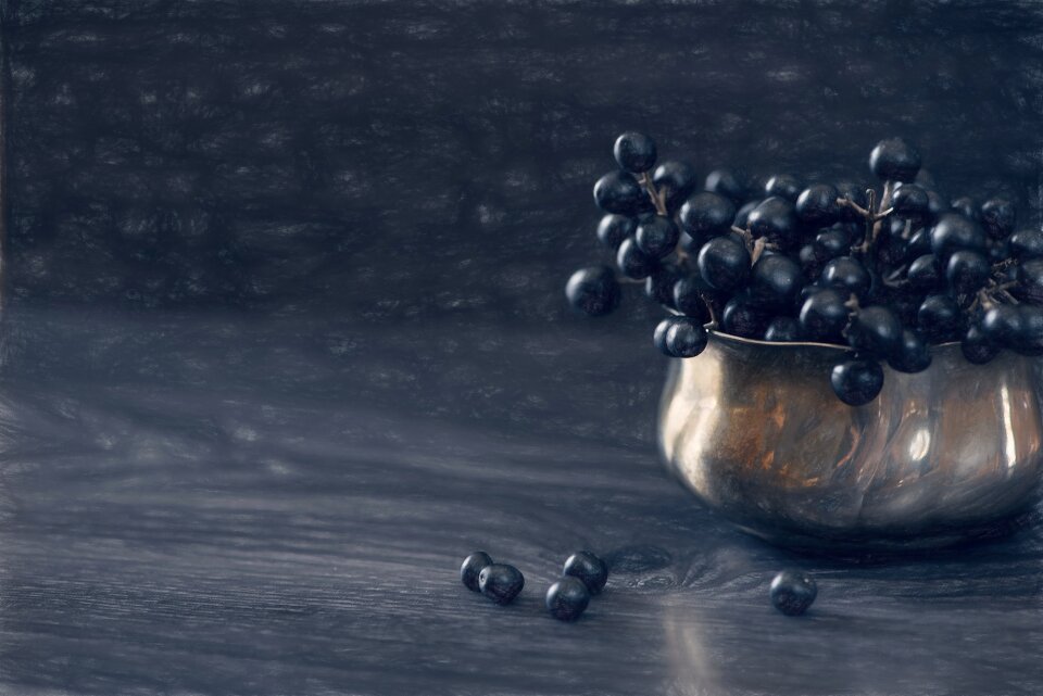 Privet berries berries dark blue