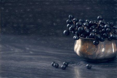 Privet berries berries dark blue photo