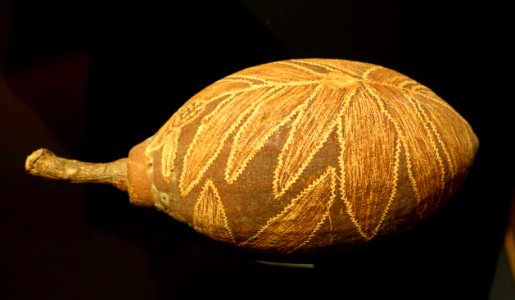 Nut from baobab tree, Kimberly, Australia, c. 1912 - Etnografiska museet - Stockholm, Sweden - DSC01375