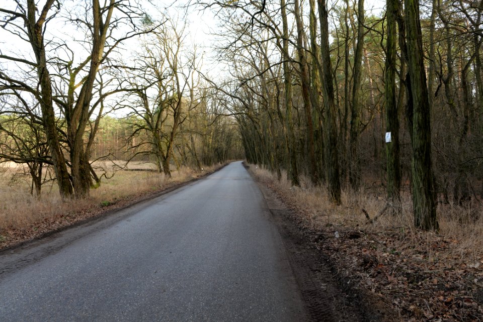Nuthetal - Beelitzer Sander Saarmund 2021-02-24 02