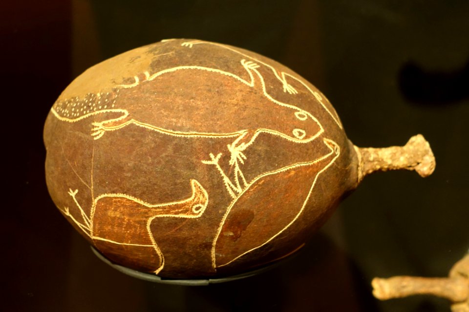 Nut from baobab tree, Kimberly, Australia, c. 1912 - Etnografiska museet - Stockholm, Sweden - DSC01376