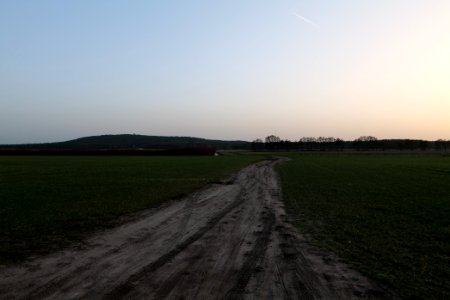 Nuthetal - Beelitzer Sander Glau 2021-02-24 09