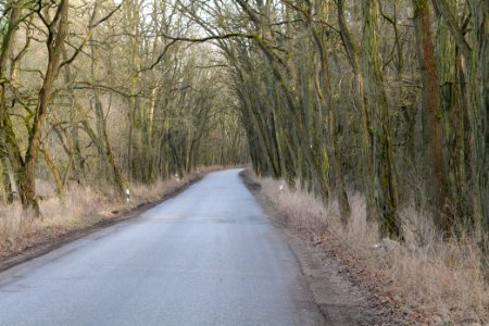 Nuthetal - Beelitzer Sander Saarmund 2021-02-24 04