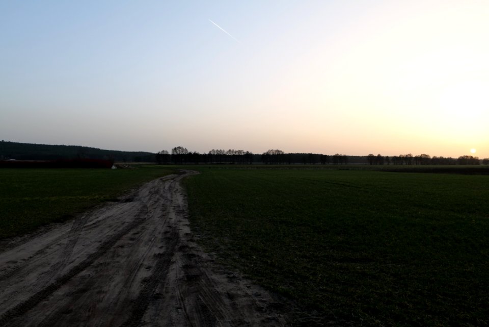 Nuthetal - Beelitzer Sander Glau 2021-02-24 08