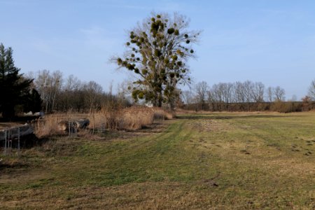 Nuthetal - Beelitzer Sander Nudow 2021-02-24 09