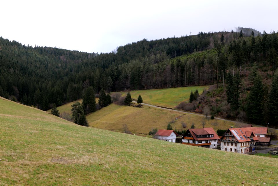 Obertal Baiersbronn 2020-03-11 18