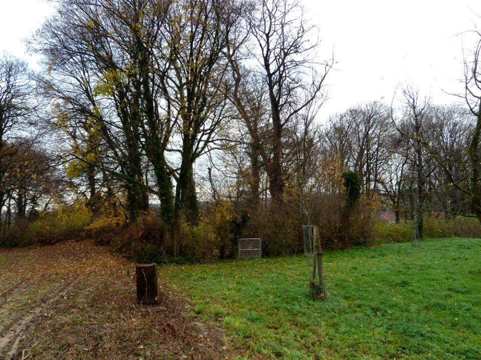 Nuth-Heuvel aan de Wienweg (1)