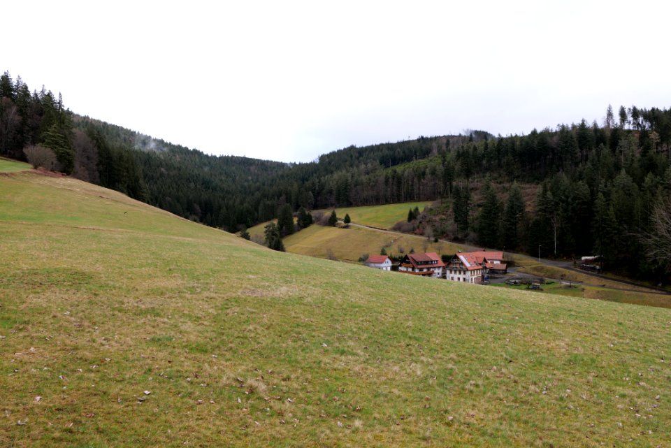 Obertal Baiersbronn 2020-03-11 15