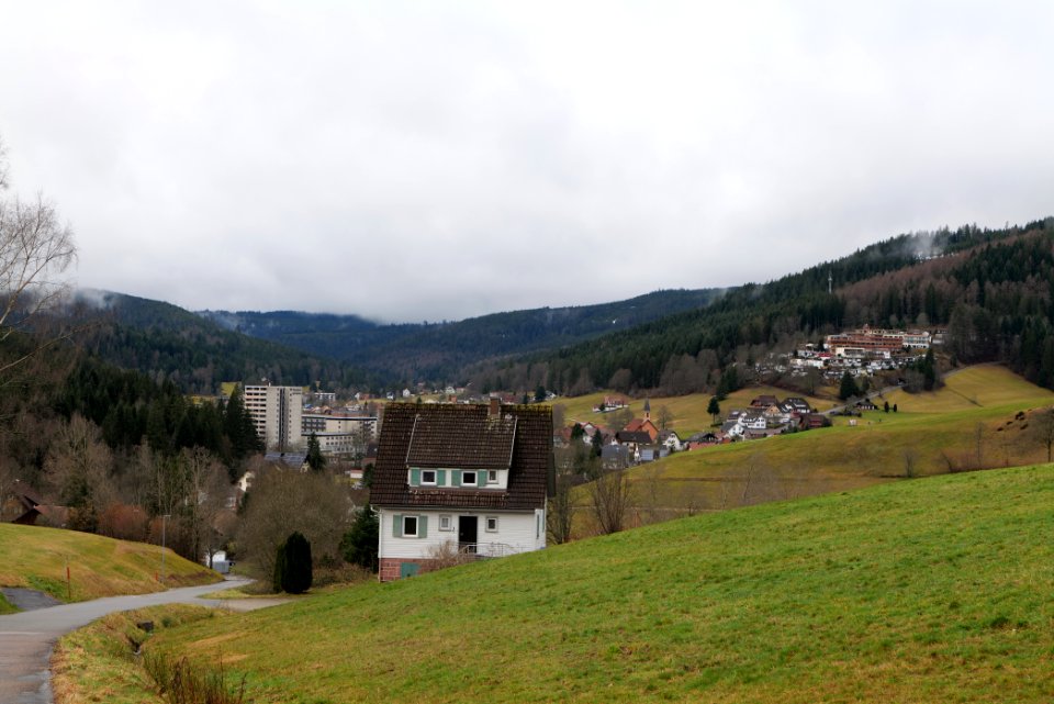 Obertal Baiersbronn 2020-03-11 13