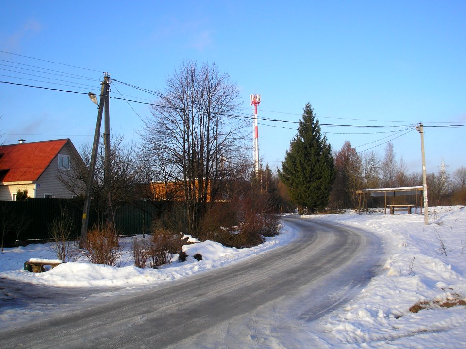 Novosyolovo Istra 7