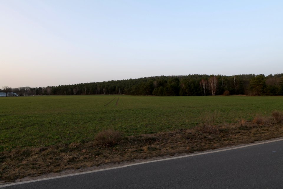 Nuthetal - Beelitzer Sander Blankensee 2021-02-24 10