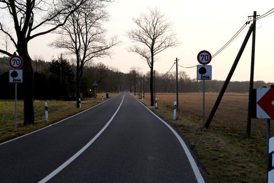Nuthetal - Beelitzer Sander Blankensee 2021-02-24 09