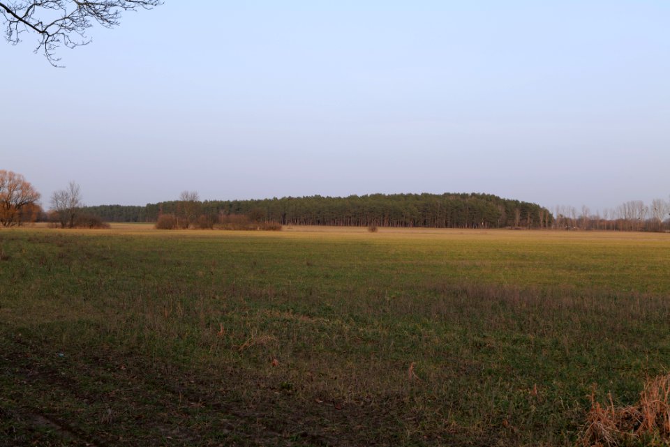 Nuthetal - Beelitzer Sander Blankensee 2021-02-24 07