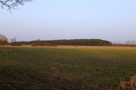 Nuthetal - Beelitzer Sander Blankensee 2021-02-24 07