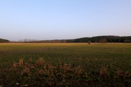 Nuthetal - Beelitzer Sander Blankensee 2021-02-24 02