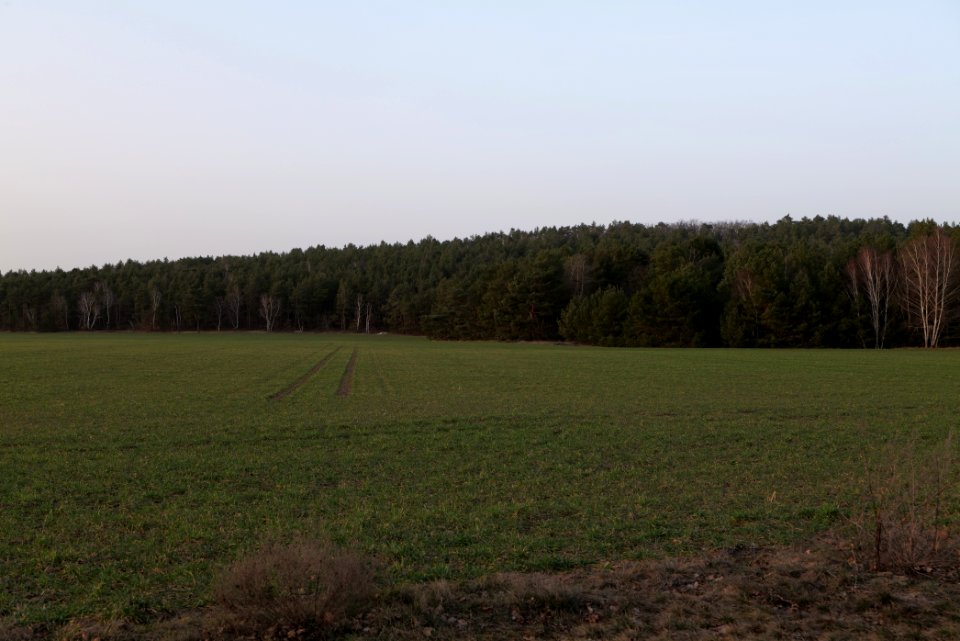 Nuthetal - Beelitzer Sander Blankensee 2021-02-24 11