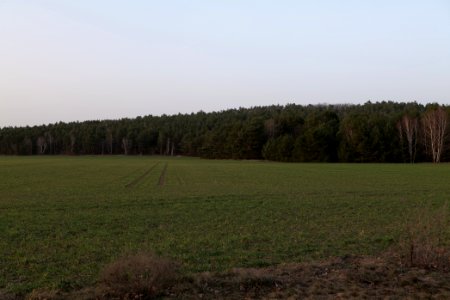 Nuthetal - Beelitzer Sander Blankensee 2021-02-24 11