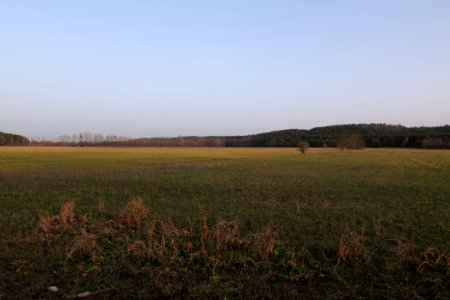 Nuthetal - Beelitzer Sander Blankensee 2021-02-24 03