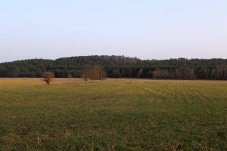 Nuthetal - Beelitzer Sander Blankensee 2021-02-24 04