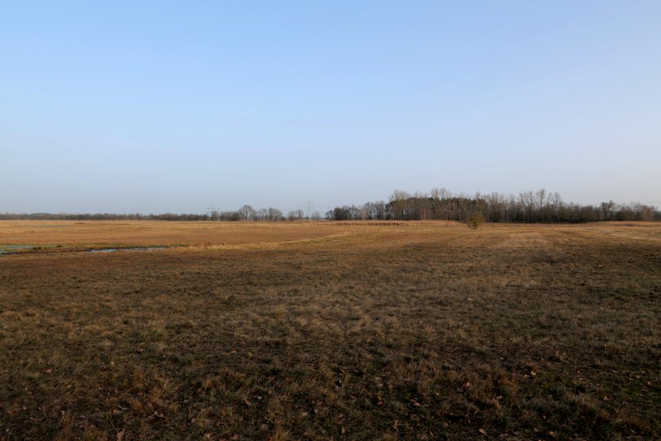 Nuthe-Nieplitz-Niederung 2021-02-24 95