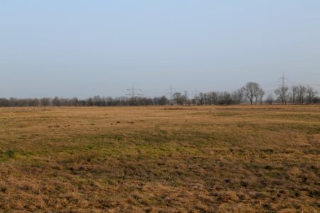 Nuthe-Nieplitz-Niederung 2021-02-24 91