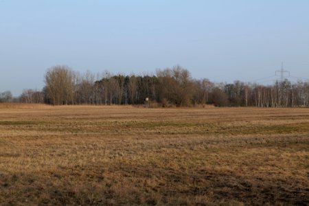 Nuthe-Nieplitz-Niederung 2021-02-24 98