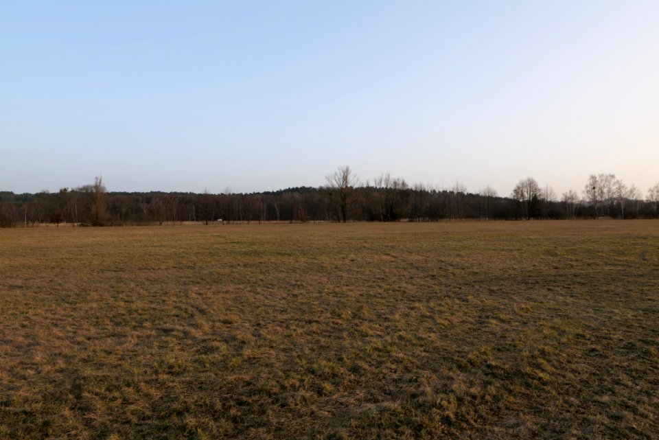 Nuthe-Nieplitz-Niederung 2021-02-24 142