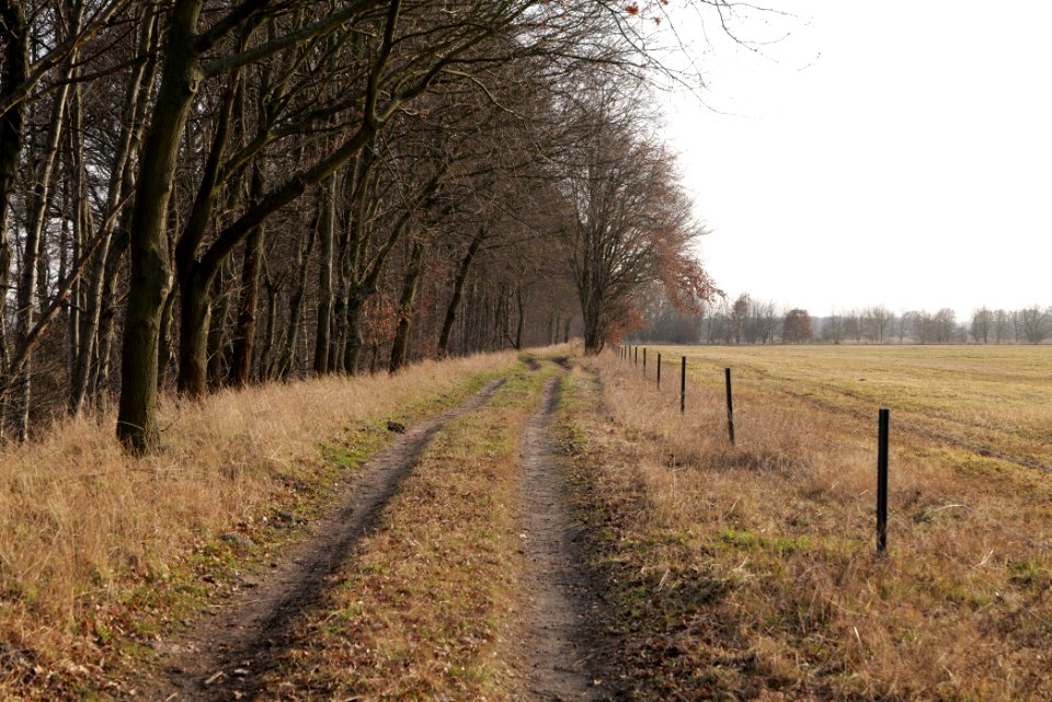 Nuthe-Nieplitz-Niederung 2021-02-24 59