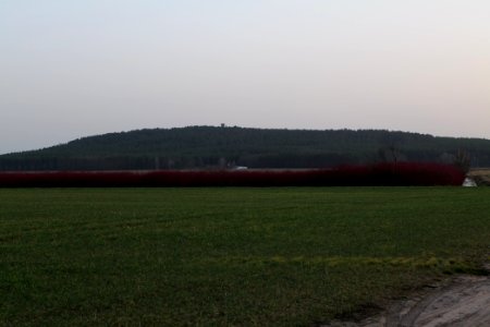 Nuthetal - Beelitzer Sander Glau 2021-02-24 05